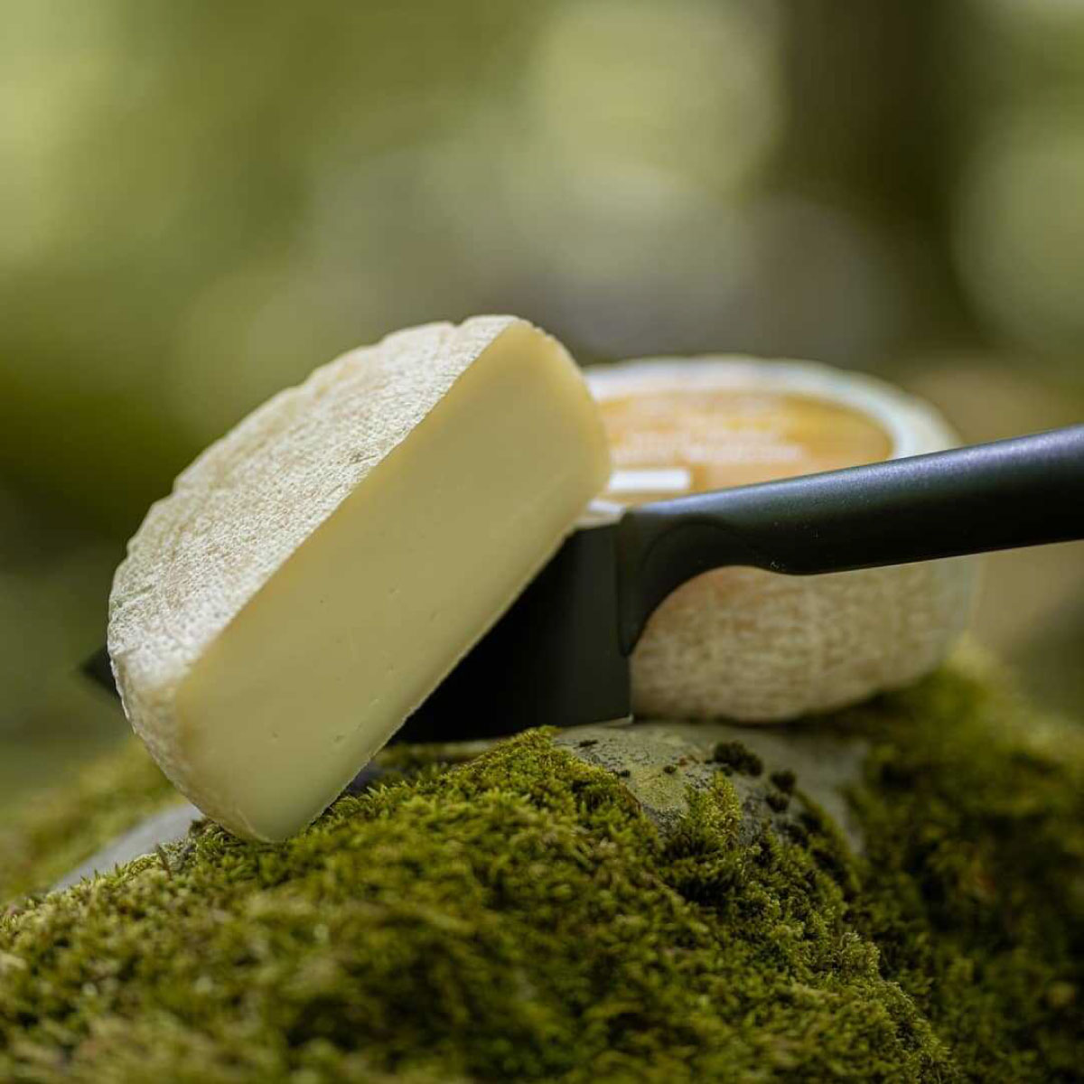 Queso-semicurado-600